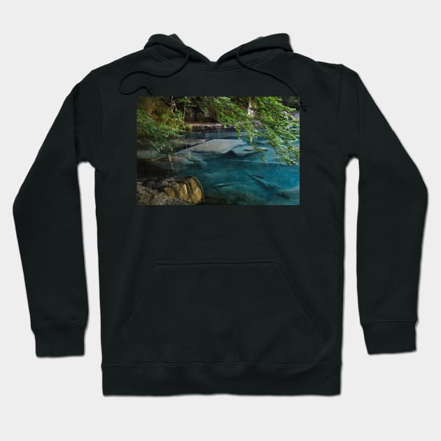 Switzerland - Blausee Hoodie by AnimaliaArt